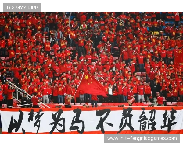 法国体育部拟推行“暴力球迷黑名单”全国联网机制